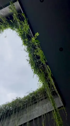 #hijabfashionstyle #outfitkondangan #dressmuslimah #tiktokshopindonesia #rekomendasikerudung #hijabstyle #ootdhijab #muslimahoutfit #fypdoooonkk #ideoutfitkondangan #fashionkondangan #outfithijabstyle 