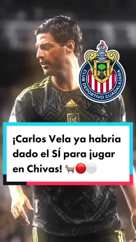 ¡Carlos Vela ya habria dado el SÍ para jugar en Chivas! 🐐🔴⚪️ #chivas #clubguadalajara #carlosvela #vela #futbolmexicano #mediotiempo  