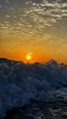 Perdóname la Vida                                            #lovemusic_77bachata                                        #sólo❤románticos 