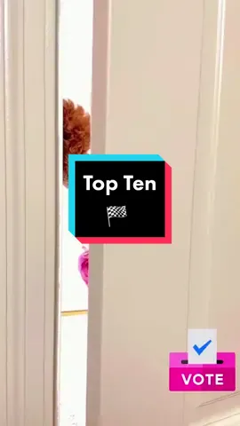 Top Ten #sexy animal with bonus at the end.  Leave your vote!  Top Ten animal #sensual com bônus no final. Deixe seu voto!  Top Ten #sexy Tier mit Bonus am Ende.  Hinterlassen Sie Ihre Stimme!  #セクシーな動物のトップ10、最後にボーナス付き。 投票を残してください！ Top Ten 🏁@thenature.shymphony Thug Life 😎@thenature.shymphony 🎶@thenature.shymphony 