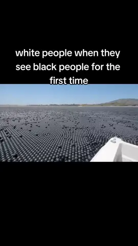 why? , i wondered.. 🤔🤔