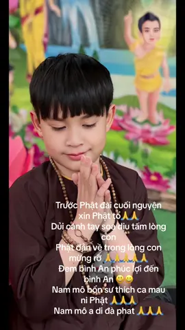 Nam mô bổn sư thích ca Mau ni Phật 🙏🙏🙏