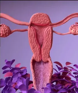 This 3D animation of the travel of sperm is so amazing 🤓 Did you know sperm can survive for a maximum of 5 days in your uterus/fallopian tubes and an unfertilized egg can survive up to 24 hours?! Making your fertile window around 6 days out of your entire (on average) 28 day cycle!  Track your fertility, cycles & health with the Daysy fertility tracker ❤️ & for a limited time receive $70 OFF the price of Daysy by clicking the link in our bio 📲 🎥✨ @design.cells  #daysy #daysyfertilitytracker #fertile #fertilewindow #fertileeggs #fertility  #fertilityjourney #fertilityawareness #ovulation #ovulationtime #womanshealth #bodyliteracy #empowerwomen #Travel #menstrualeducation #womanshormones #fertilityawarenessmethod #fam #bbt #uterus 