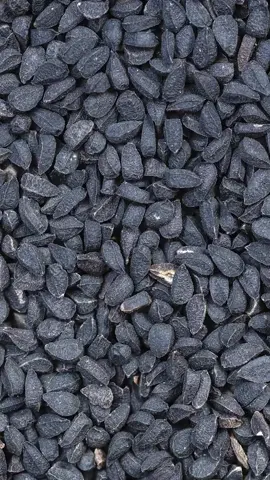 manfaat jintan hitam seperti yang nabi Muhammad shalallahu alaihi wa sallam sebutkan  adalah mampu mengobati segala penyakit kecuali kematian. untuk produknya ada di keranjang kuning ya 🙏🙏😊 #jintan #jinten #jintanhitam #jintenhitam #habbatusauda #manfaatjintanhitam #manfaathabbatussauda #habbatussauda #fyp #fypシ #fypage #fypシ゚viral #fypdongggggggg #fyppppppppppppppppppppppp #fypp #fypdong #fypgakni #fypsounds #viralin #fyyyyyyyyyyyyyyyy #dakwahsunnah #dakwah #new #newtrend #tranding #lagitrending #ngajiditikotk #virall #viraltiktok #trandingvideo #salafi #ngaji #belajarngaji #lagiviralditiktok #salafusshalih #shorts #alquran_alkareem0 #foryoupage #nasehat #nasehatislami 