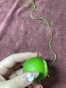 Lên bài cắt chanh cho học viên nhà em 🥰🥰 Cắt chanh là bài làm quen với kìm - bước đệm nhặt da 💅🏻💅🏻 #xuhuongtiktok  #hoccatdanai #họcnailonline #catchanhnail 