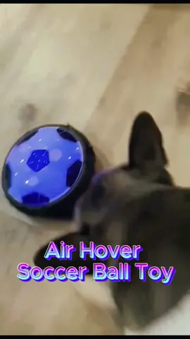 ⚽️😘Air Hover Soccer Ball Toy Soccer #Indoor football #Indoor football #No noise downstairs #Mute ball Parenting Children's toys #Indoor toys #Suspended football#fyp #kidsgifts #gift #bestgift#tiktokmademebuyit #amazonfinds #toy #toys #foryou #toyplane #Summer 