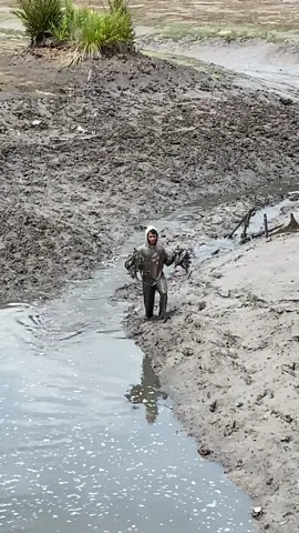 Pejuang rupiah - pawang kepiting 🦀😬💪 #kepiting #crab #kepitingbakau #tambak #tambakkepiting #kaltara #tarakan #sekatak #fyp #lewatberanda #viral 