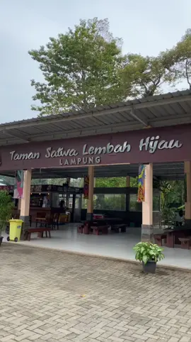 Zoo date🐯🐒🦧🐘🦙🐅🦚 #lembahhijaulampung #fyp 