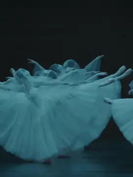 Giselle 🖤 #giselle #ballet #giselleballet #balletcore #balletaesthetic #балет #жизель #жизельбалет #fyp #trend 