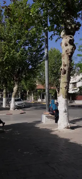 قلولي تشو وين راني 🤭😁 #مريم #بليدية #بليدة_مدينة_الورود🌹 #blida #بليدة #بليدية09💪 #❤️ 