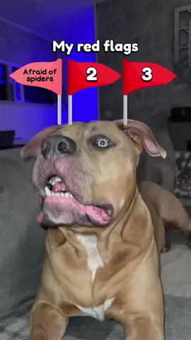 Spiders are accurate lol #fyp #foryou #foryoupage #vj #voorjou #voorjoupagina #marenenraffie #marenraffieodincupcake 