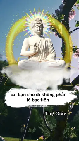 Bố thí #phatphap #tuệgiác #phatphapvobien #songtheoloiphatday #loiphatday79 #phật #tutap #loiphatdayhay #loiphatday🙏 #songtheoloiphatday #tuegiac #nammoadidaphat #tuegiac🙏🏻 #bothi 