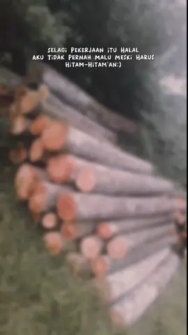 #CapCut #tukangnguli😊 #pejuangrupiah #tebangkayu #katakatastorywa_ #storywa #katakatamotivasi 