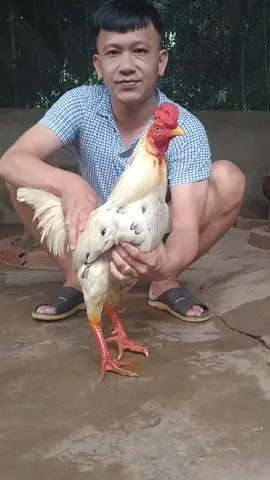 chuẩn bị vài bữa nữa cho em nó thi lớp 4, không biết có đậu không đây hay ở lại lớp nữa 🤣