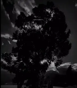 🖤🥀 . Song Name - Believer✨ . #tiktokviral #songlyrics #fyp #foryou #trend #foryoupage #trendingsongs #viral #trendingreels #reels #aesthetic #aestheticedits #loveedits #viral  #_sightunseeenn__  #lovestatus #sadstatus #Love  #lyricsvideo #bollywoodsongs #TrueLove #emotions #relatable #songs #happy#musicvideo #new #trendingreels #reelitfeelit #nature #trendingsongs  #instavideo #explorepage