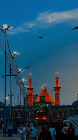 كلي يقين أن هذا الحزن الذي في قلبي عند بابك سينجلي #ياعباس #ستوريات_حسينيه #السلام_عليك_يا_ابا_الفضل_العباس_ع #الامام_الحسين_عليه_السلام #ضريح_الامام_الحسين #foryou #fyp #fypシ #اكسبلورexplore #viral #foryoupage #تصاميمçayır_gözlü 