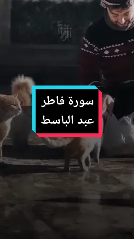 #quran_alkarim #kuran #islam8qurann 