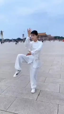 the Great ultimate #kungfu #taijiquan #girl 