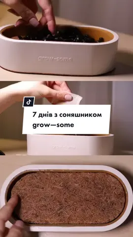 А у неділю можна і салат робити #мікрогрінвдома #microgreen 