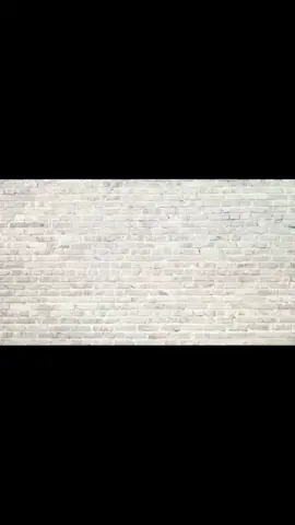 #زينة_داودية  #قادر_جابوني  #نسمح_نسمح_بصح_ماننساش  #الشعب_الصيني_ماله_حل😂😂 #مصر_العراق_السعودية_تونس_المغرب_الجزائر_ #MyDolceMoment #fypシ #لمغاربة🇲🇦 #الجزائر_تونس_المغرب #لمغاربة_بانو_🇲🇦 