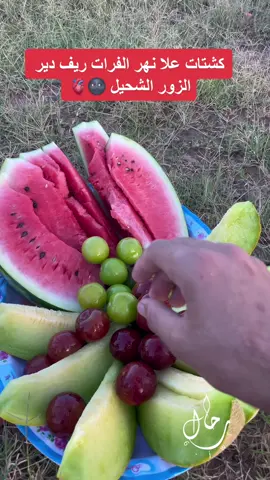 طلعه بسيطى علا ضفاف نهر الفرات بريف دير الزور لا تنسونا دعمكم لايك متابعه تعليق #CapCut #اكسبلور #شعب_الصيني_ماله_حل😂😂 #InspiredAwesomeLife #الشحيل #ديرالزور_الرقة_الحسكة_ابناء_الشرقية #inspiredawesomelife #تصوري #youtube #ديرالزور_الرقه_الحسكة_حلب_منبج #PepsiKickOffShow #تصميمي #اكسبلوررررر #هجين #سوريا #تصميمي 