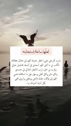 اللهم ارزقني راحة ترافق قلبي في كل حين اللهم ارزقني الحكمة وفصل الخطاب وهب لي رحمة في قلبي يا رب العالمين. إنك على كل شيءٍ قدير يا كريم يا الله 🤲🤍🖤🕊✉