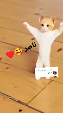 الرد على @n.m.s_49 حسب الطلب ناصر 🥰♥️