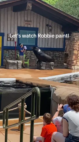 #sealion #sealions #painting #animalspainting #funnyanimal #funnyanimals #talentedanimals #cuteanimals #sealionshow 