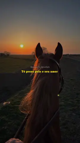 Gino & Geno - Apaixonado por você #viral #fy #status #tipografia #ginoegeno 