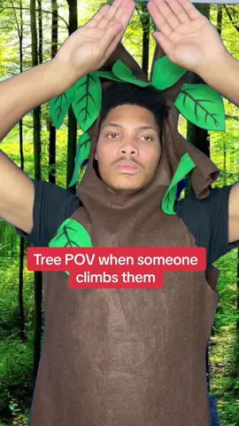 Purchase your bundle of @Dr. Squatch soap today! 🔥 #ad #treepov #drsquatchsoap 