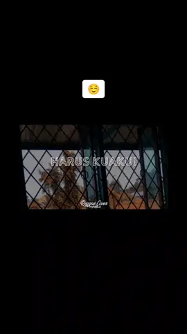 cantiktpitakmenarik#dhyohaw #tiktok#lagureagge 