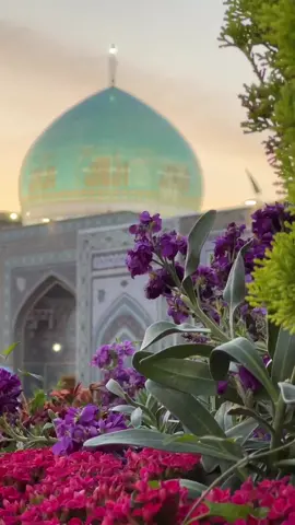 Allahim özün bilirsen😞#kesfet #esg #Xoda 