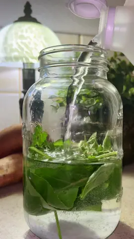 Ep 185 | ✨🌿 From Soil to Plate: Nurturing, Cleaning, and Savoring the Essence of Garden Herbs! 🌱🍽️ #soiltoplate #gardentotable 