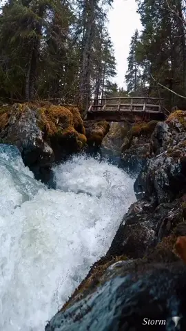 #strom75901 #موسيقى #طبيعة ##هدوء #الصباح #استرخاء 