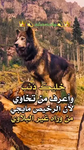 #خليك_ذيب_وعرف_مين_تخاوي🦁👑 