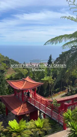 One of the most stunning and unique places in Madeira, the Monte Palace Tropical Garden is located in the village of Monte overlooking the bay of Funchal. It is home to thousands of exotic plants and trees from all over the world and includes two authentic Oriental Gardens, ponds and waterfalls, pagodas, various art pieces and museums. Take the scenic cable car from Funchal and spend an afternoon exploring this amazing garden - it’s an absolute must-see! ✨ Save it for your next trip in Madeira 🌴 #visitmadeira #madeiraisland #discovermadeira #PlacesToVisit #traveltiktok #travelinspo #tiktoktravel #traveldestinations #traveltok #travelbucketlist 