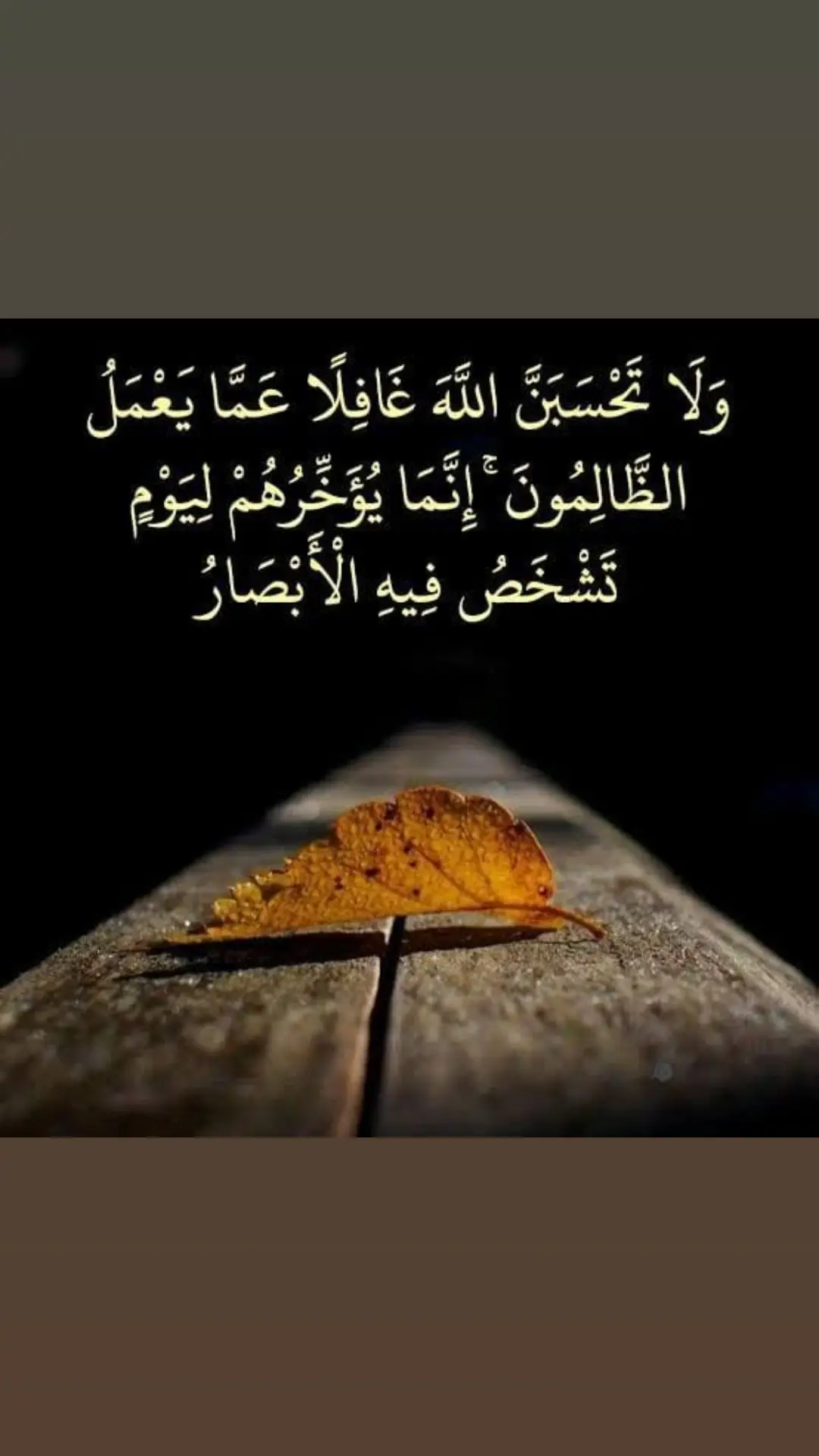 #CapCut #keşfet #بالقران   .... القارئ.  نايف.... الفيصل   صَلوُ عَلَي من اشتاقت العيون لرؤيتةة وسڪنت القلوب محبتةة ﷺ🥺❤🫀