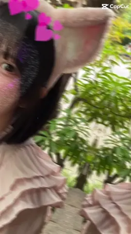 動画作ってくれる人いないから自分で作った笑笑笑#おすすめ #06 #ディズニーシー #ディズニー 