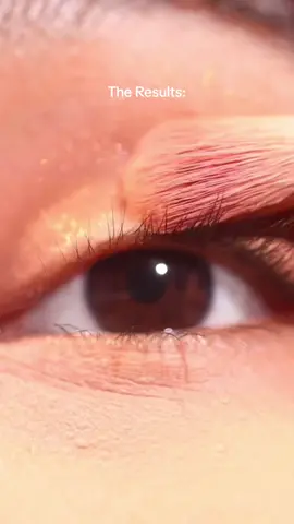 Membalas @Endah S💐 currently using canon 100mm macro lens✨