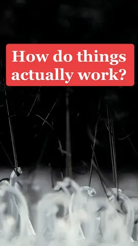 How things actually work in #macro #slowmo #urday #closeup #sastisfying 