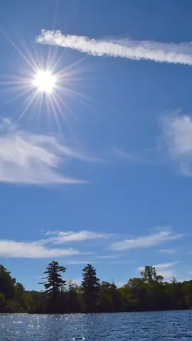 Pernah ngerasa kayak liat cacing di mata? . . . . . . . #belajarbareng #shorts #short #fypシ #foryourpage #fyi #foryou #kesehatan #mata #eyes #eye #eyefloaters #eyefloater #floater 