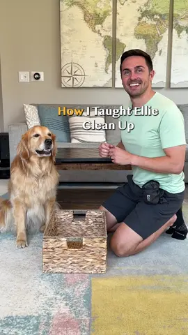 How I taught Ellie to clean up her toys! #DogTraining 