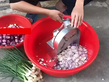 Máy Thái Hành Tỏi Tiện Lợi #giamtoi #hanhphi #maythaihanh #maythaitoi #hanhtoi🧄 