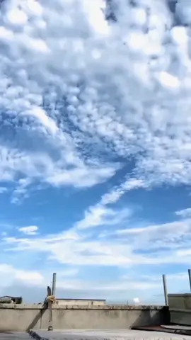 😅👌 #dc #dancechallenge #xotit #dance  #fyp #challange #foryou #xotitteam #xotitdancer @XOTIT ☑️ @XoTit✓ 