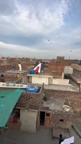 20 GhiTTi Biggest Tukal From Faisalabad Basant 2023 #bigkite #kiteflying #basant #Lovers 