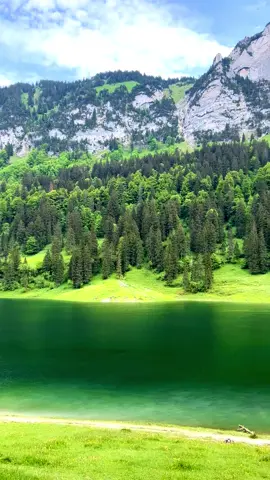 #schweiz #natur #alp #züri 