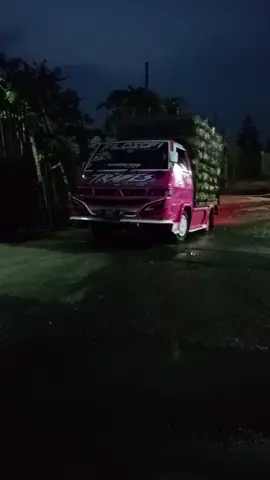 #mobilpickup #ayambroiler ###fypシ #l300maniaindonesia 