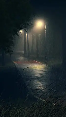 Rain ❤️ #fyp #tiktok #rain #street #light #relax #relaxing #aesthetic #wallpaper #mood #vibes #peaceful #night #trending #trend #viral #chill #anime #livewallpaper #livewallpapers4k #2023 