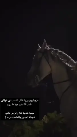 #اكسبلورر  ♈️🌱🤍🕊🙋‍♂️  عزي لبوي يوم اختار النسب في خوالي   ماخذا الا بنت عودً ما يهدد   جيت للدنيا كذا والراس عالي  شيخة الجدين والمنسب مردد