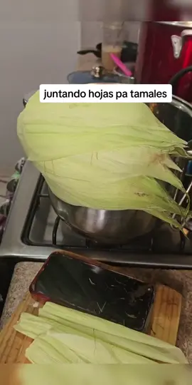 #hojas  pa #tamal  #consejos #tip #tips #consejoscaseros #tamales #viral 